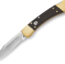 Buck Knives Auto Folding Knife
