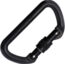 Cypher D Screw Gate Carabiner Black