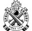 Springfield Armory - Carrying Bags, Riflescope Mounts, Rings & Bases, Pouches, Weapon Accessories, Tritium & Fiber Optic Night Sights — 369...